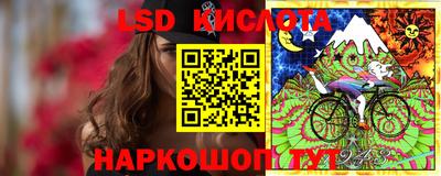 дмт Ставрополь