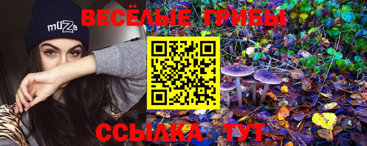 Псилоцибиновые грибы GOLDEN TEACHER  Вход с VPN  Новый Уренгой 