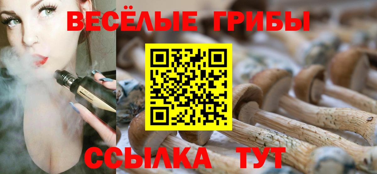 Псилоцибиновые грибы GOLDEN TEACHER Новый Уренгой